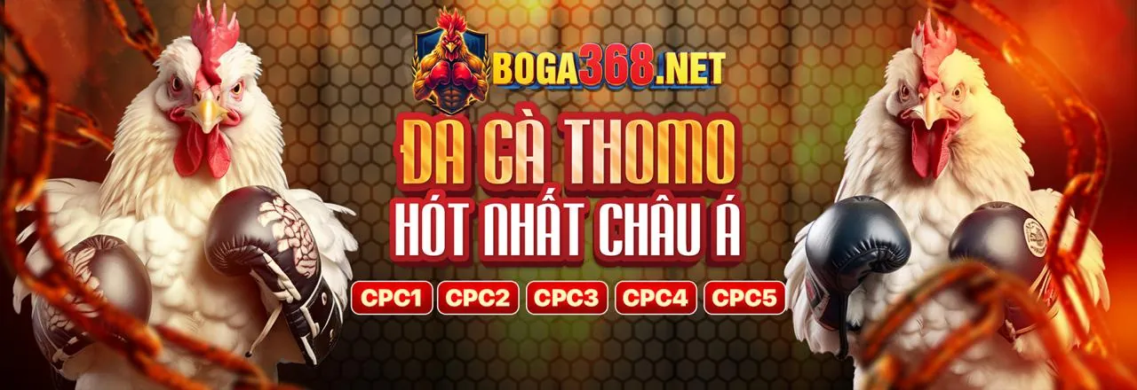 Hướng dẫn chiến lược game Q88 Club cho người mới bắt đầu và nâng cao